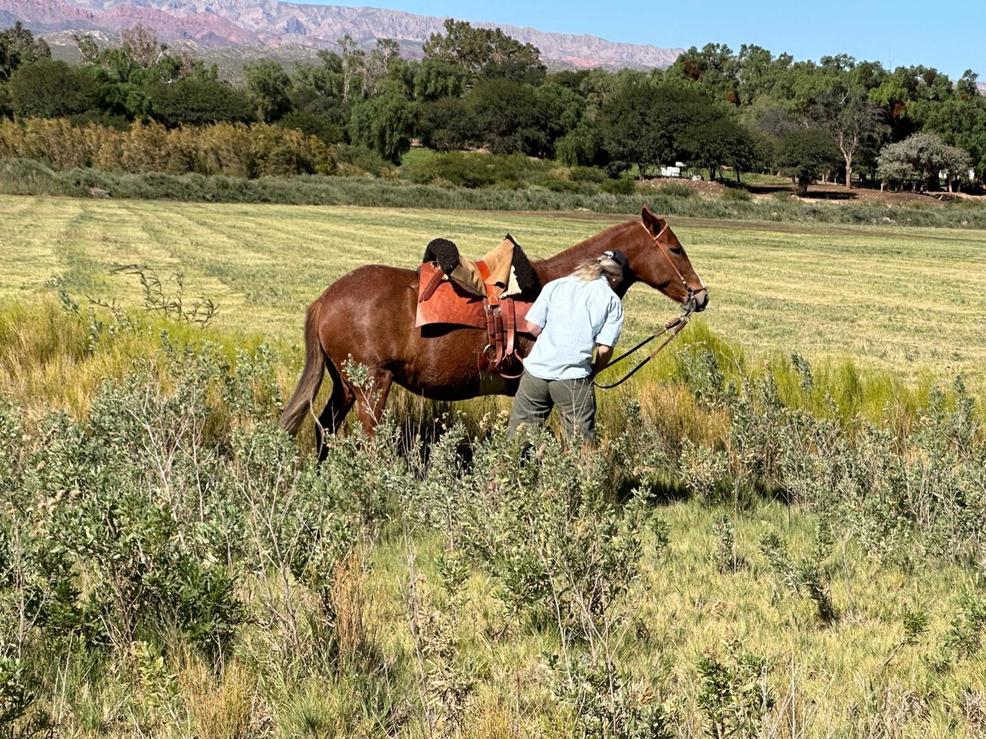 Banda Grande - Horse & Hiking Safaris Lodge *