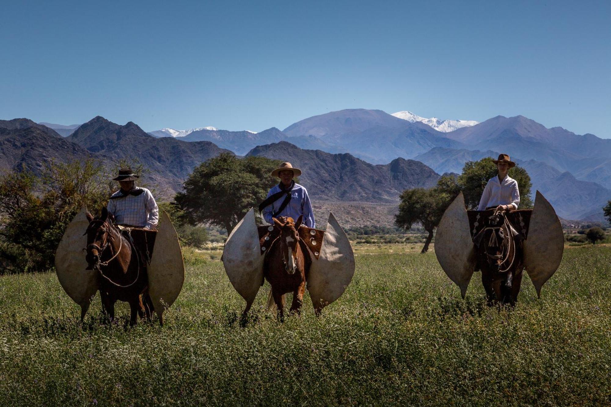 Banda Grande - Horse & Hiking Safaris *