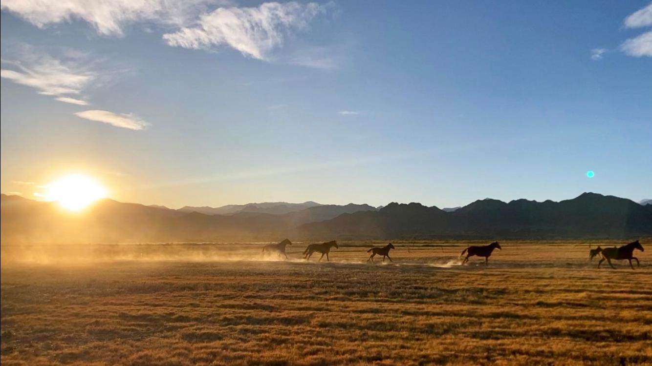 Banda Grande - Horse & Hiking Safaris Molinos