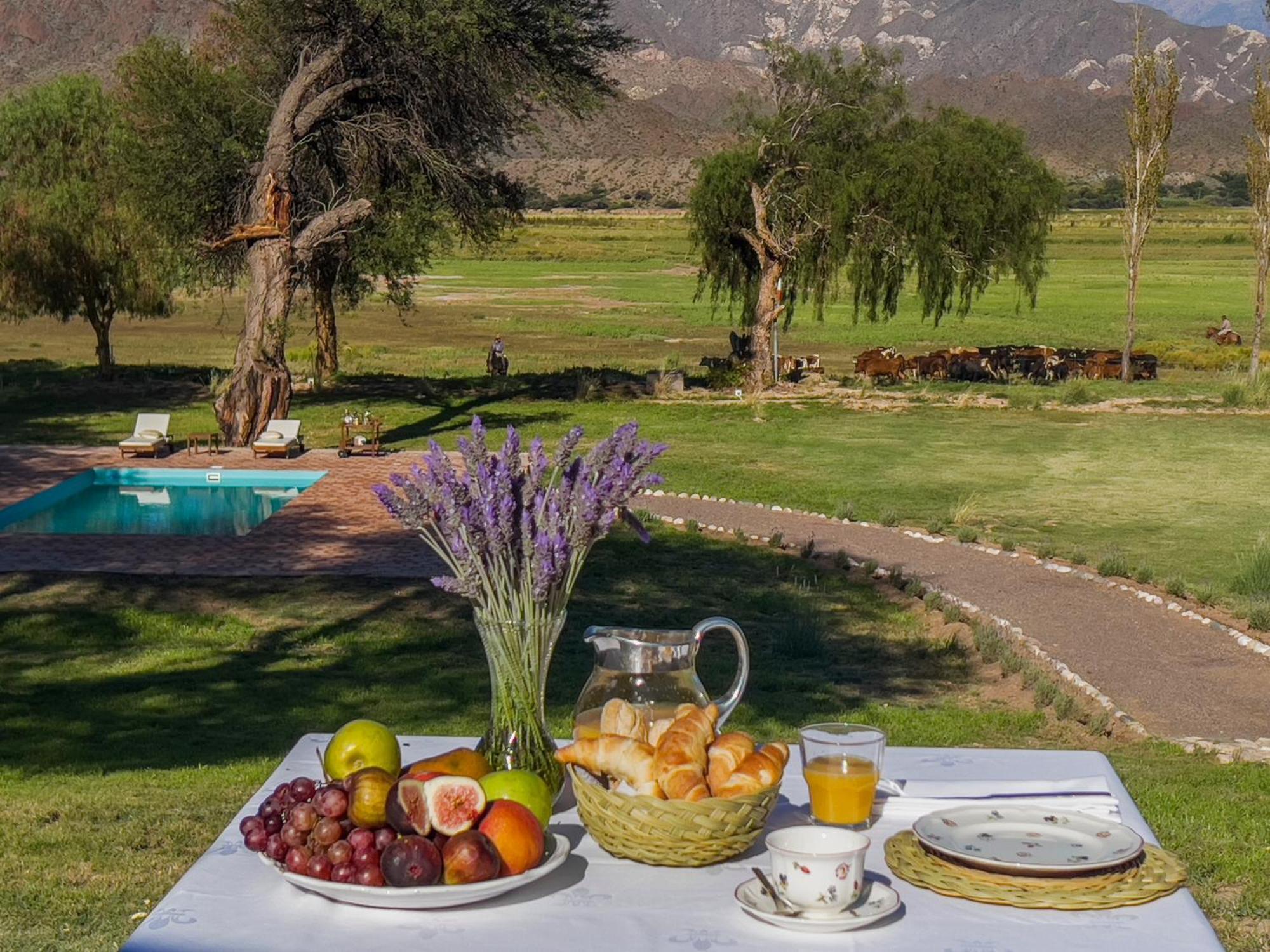 Banda Grande - Horse & Hiking Safaris Lodge